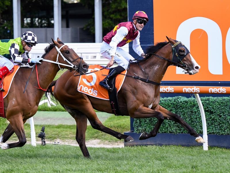 CAULFIELD | Just Horse Racing