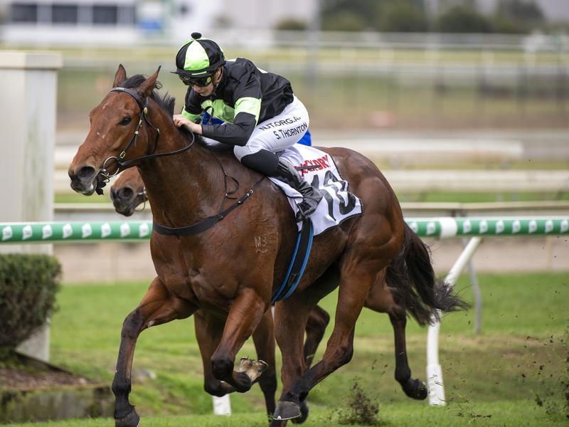 Doomben | Just Horse Racing