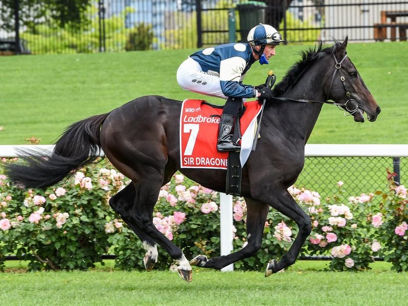 GALLOPS SIR DRAGONET | Just Horse Racing