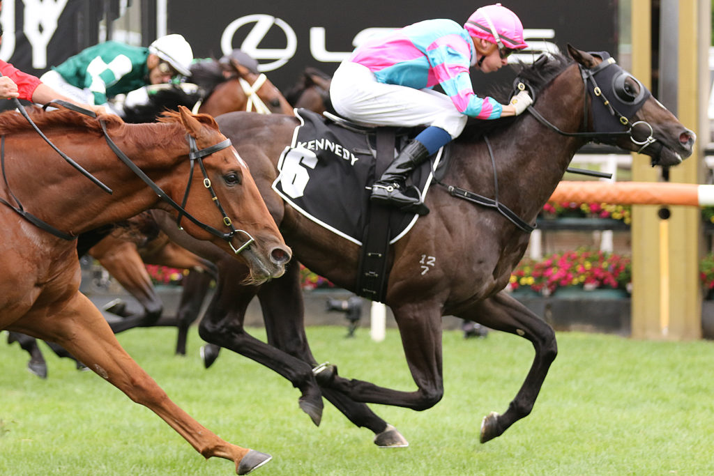 Lunar Fox,Australian Guineas,Group 1_27-02-2021_WIN_Flemington_7__1232 | Just Horse Racing