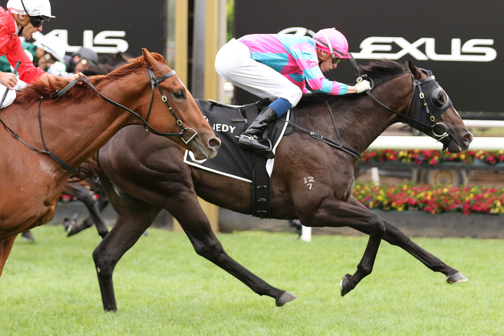Lunar Fox,Australian Guineas,Group 1_27-02-2021_WIN_Flemington_7__1233 | Just Horse Racing