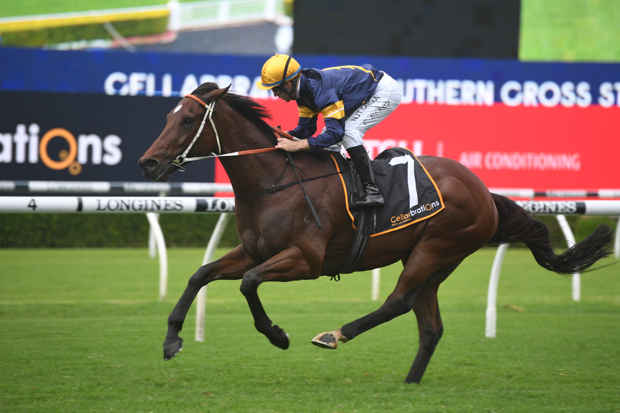 Likely All Aged Stakes Field â€" 2021 - Vimarsana News