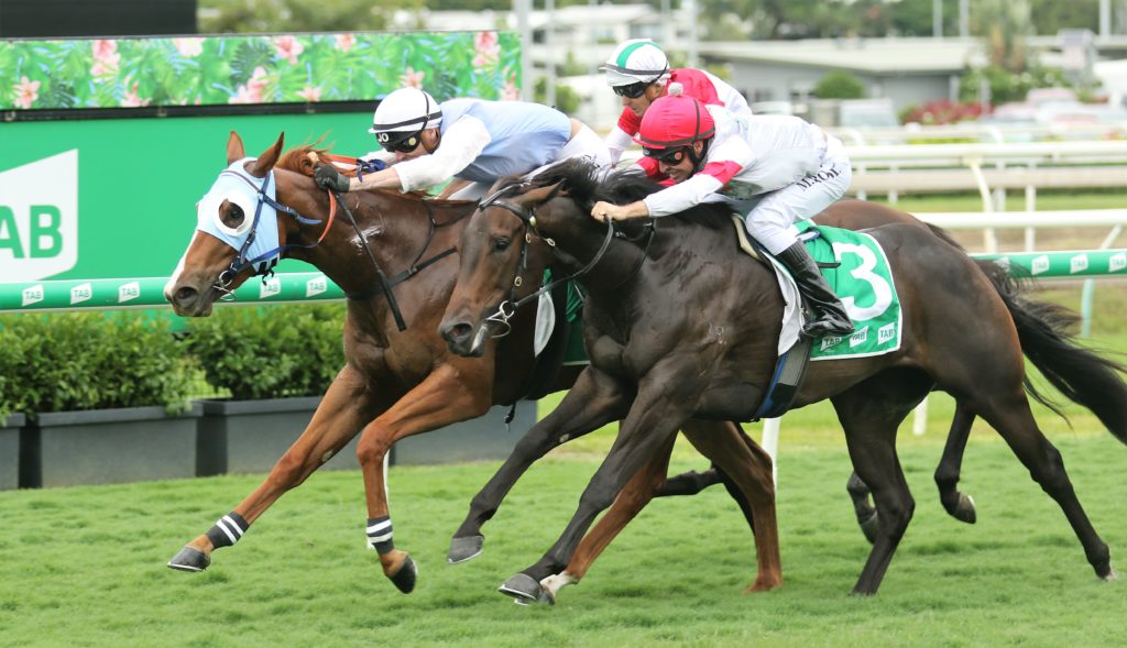 Les Ross’ 2YO dominance continues at Eagle Farm | Just Horse Racing