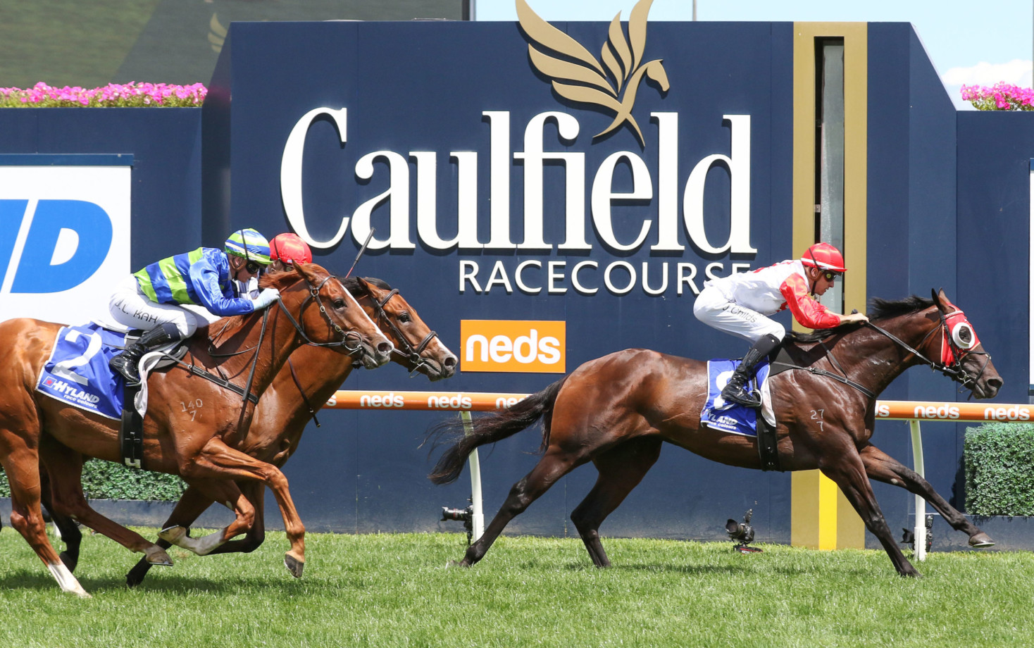 caulfield stakes odds
