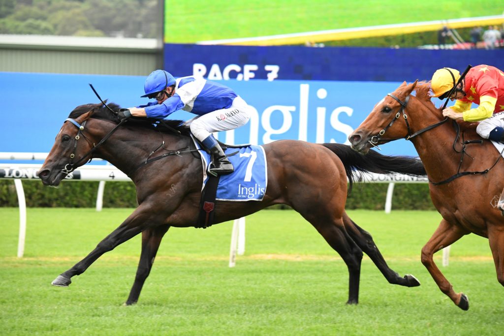 Rocketing By 060221 7039 | Just Horse Racing