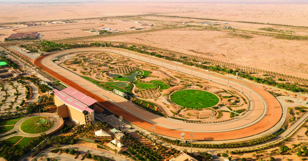 Saudi Cup 2025 Field, Tips, Betting Odds, Results