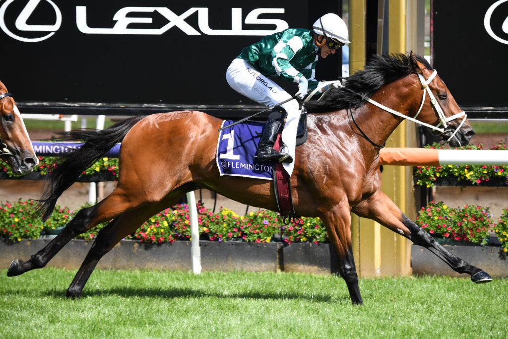 /r7/ | Just Horse Racing
