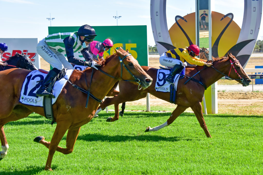 /r7/ | Just Horse Racing