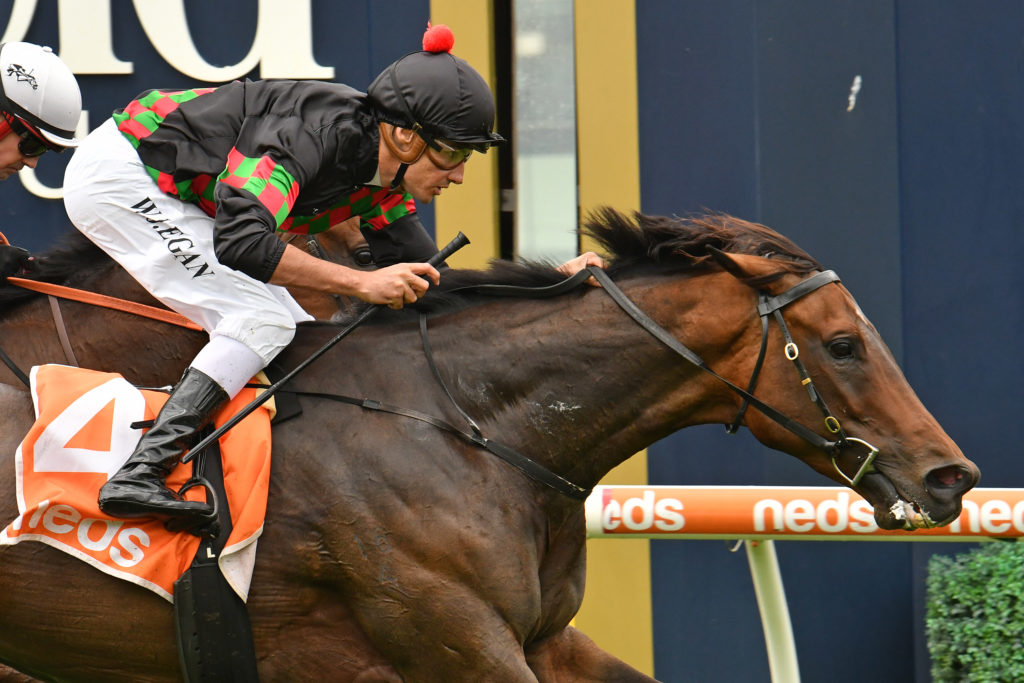 Defibrillate | Just Horse Racing
