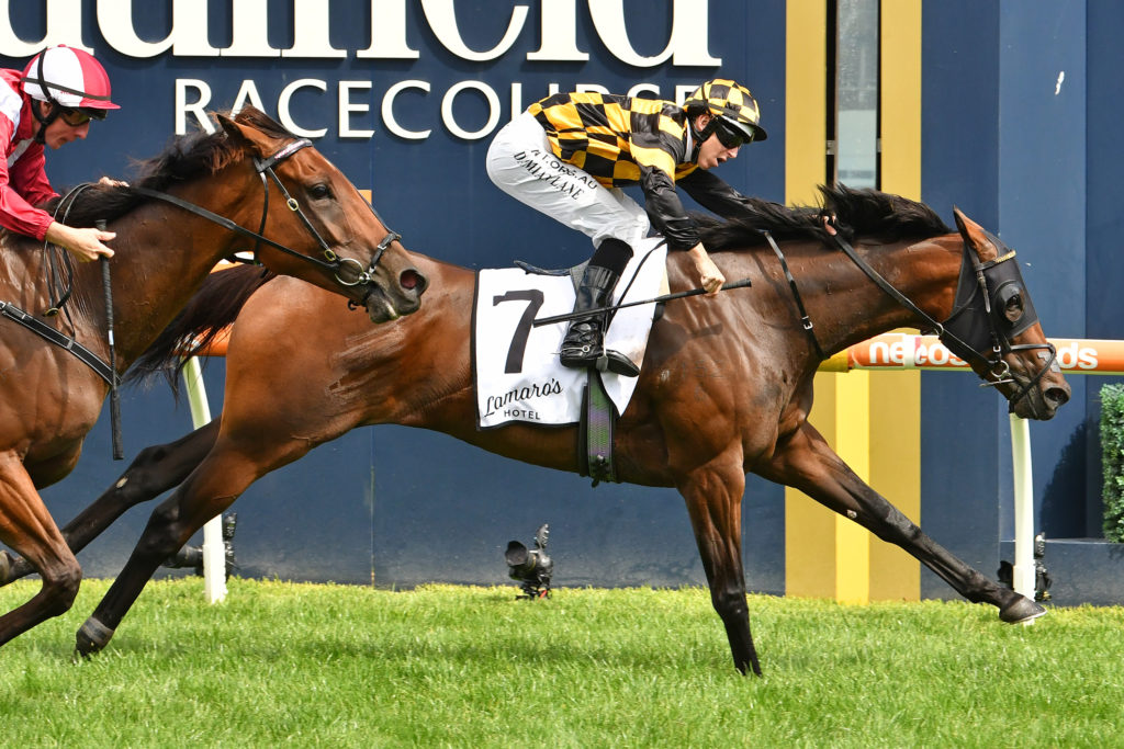 Probabeel | Just Horse Racing
