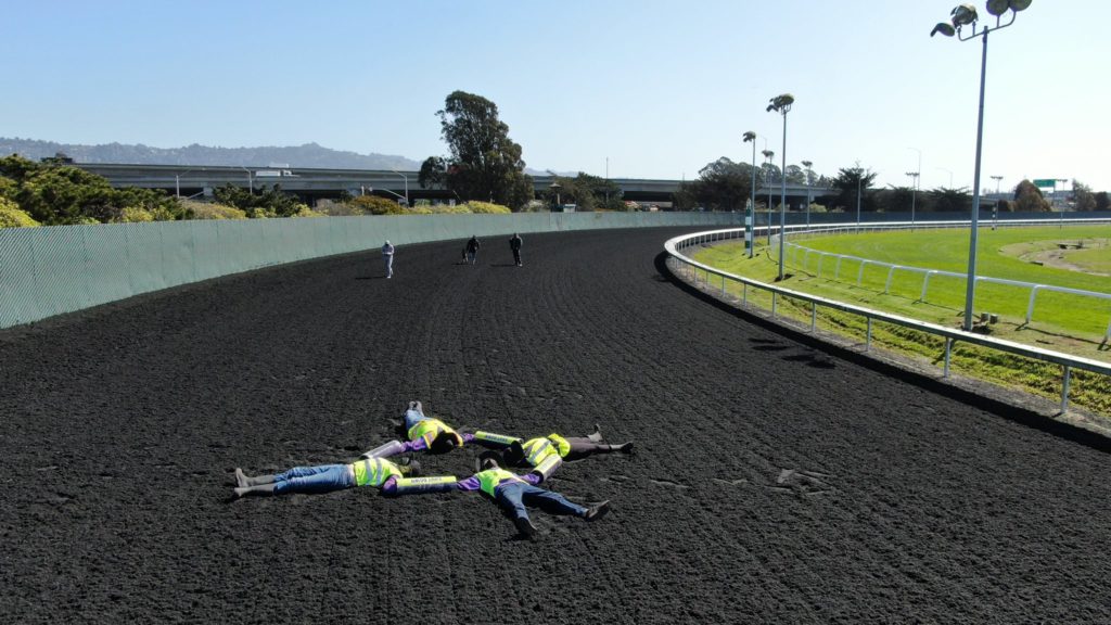 Activists races | Just Horse Racing