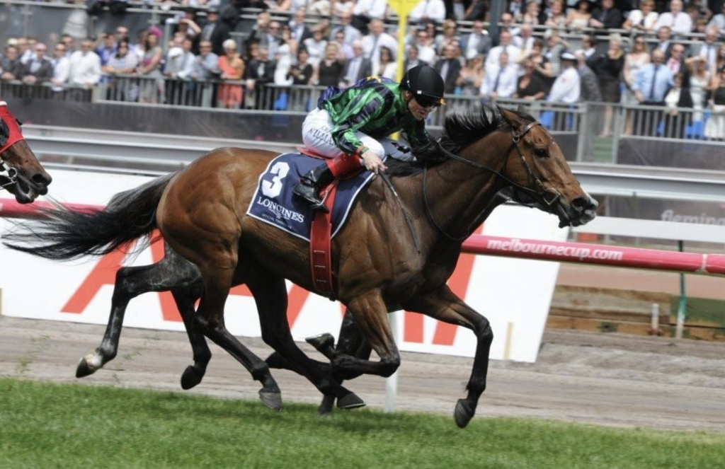 Alcopop | Just Horse Racing