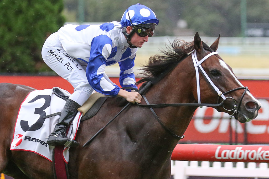 Ancestry_13-03-2021_WIN_Moonee Valley_4__36 | Just Horse Racing