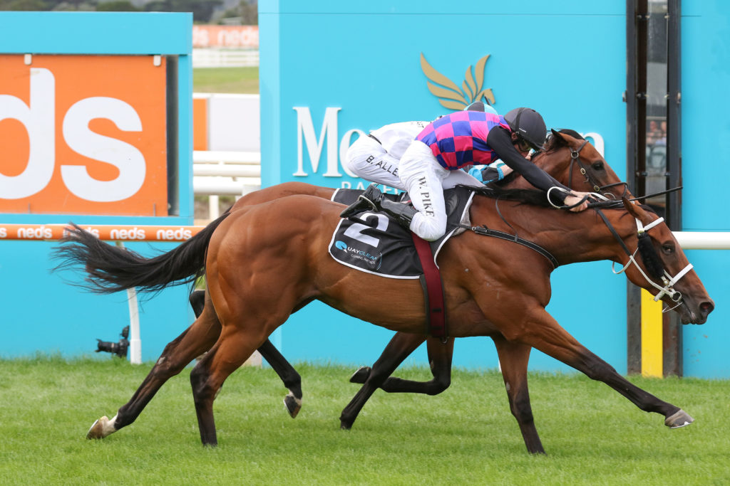 Dom To Shoot,Mornington Guineas_20-03-2021_WIN_Mornington_6__1246 | Just Horse Racing
