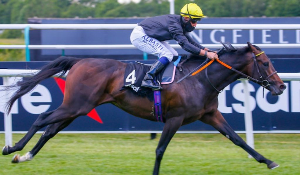 English King | Just Horse Racing