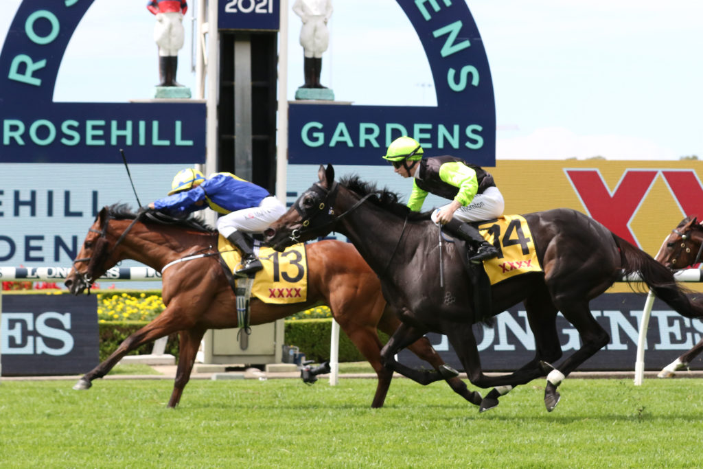 manion-cup-2022-field-tips-betting-odds-results