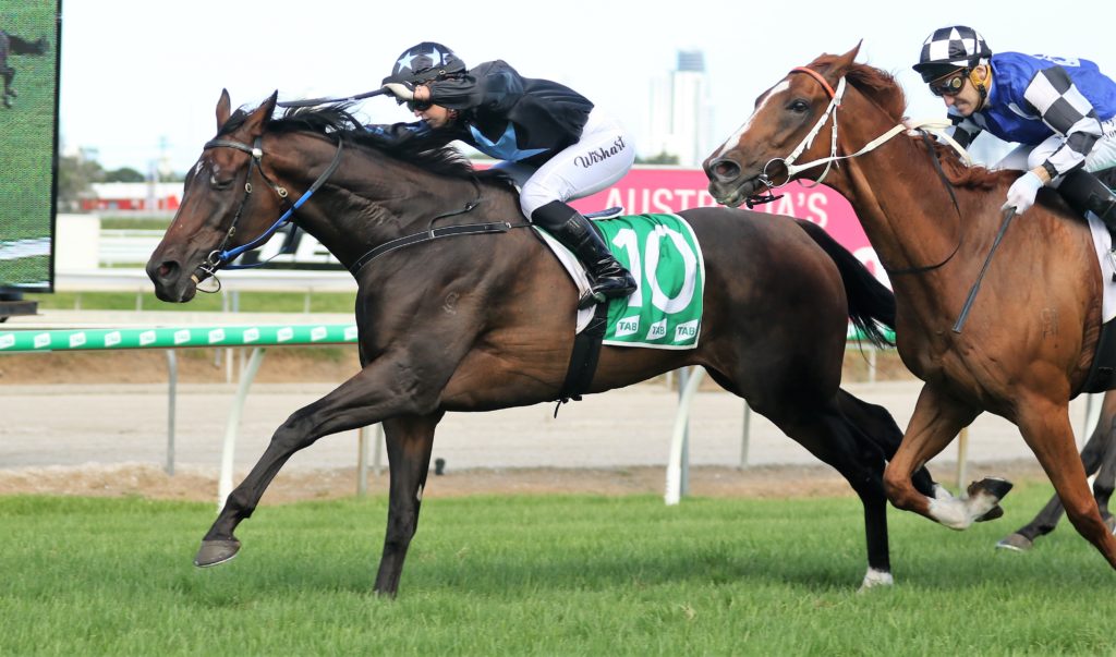 Flash Aah (2) | Just Horse Racing