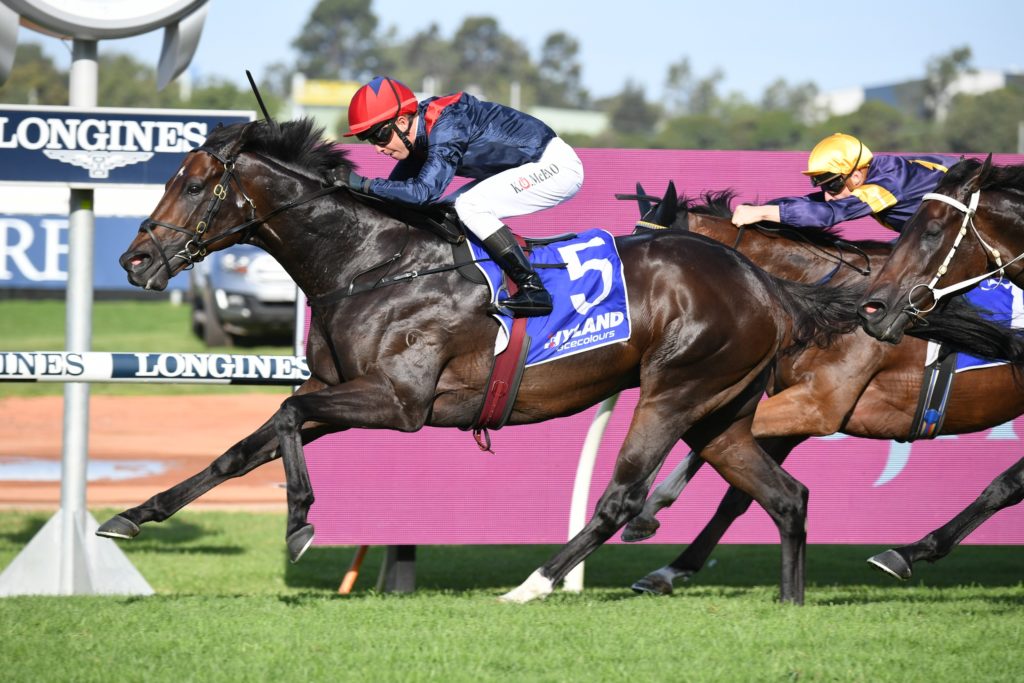 I Am Superman 130321 8756 | Just Horse Racing