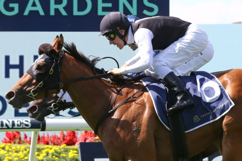 Isotope,Darby Munro Stakes,Listed_27-03-2021_WIN_Rosehill_1__103 | Just Horse Racing
