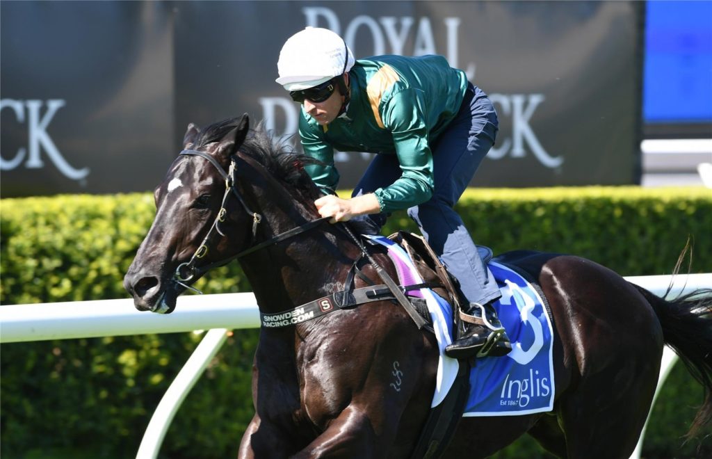 Kalashnikov | Just Horse Racing