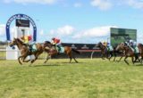Illawarra Grange races