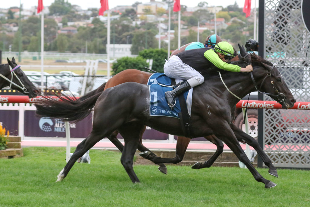 Persan_13-03-2021_WIN_Moonee Valley_3__533 | Just Horse Racing