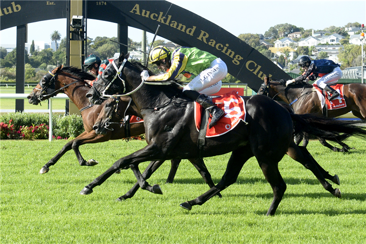 New Zealand Derby 2025 Field, Tips, Betting Odds, Results