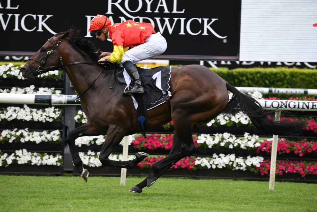 Wild Ruler 060321 4222 | Just Horse Racing