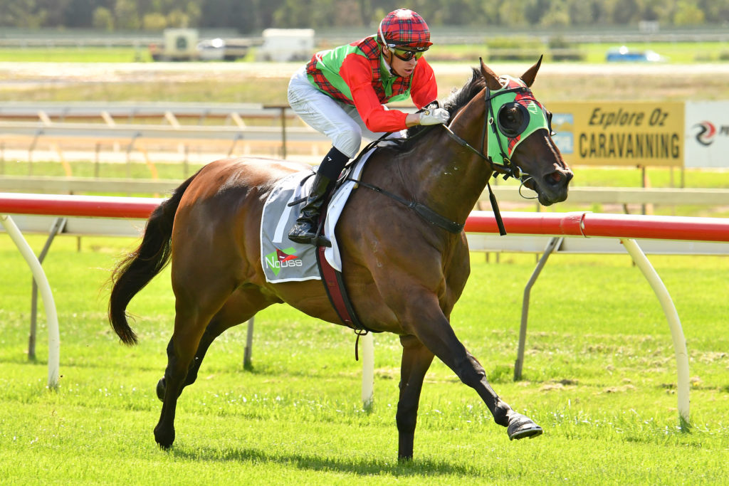Sam's Image | Just Horse Racing