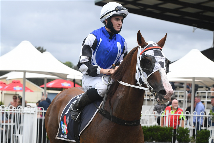 Alysha Collett | Just Horse Racing
