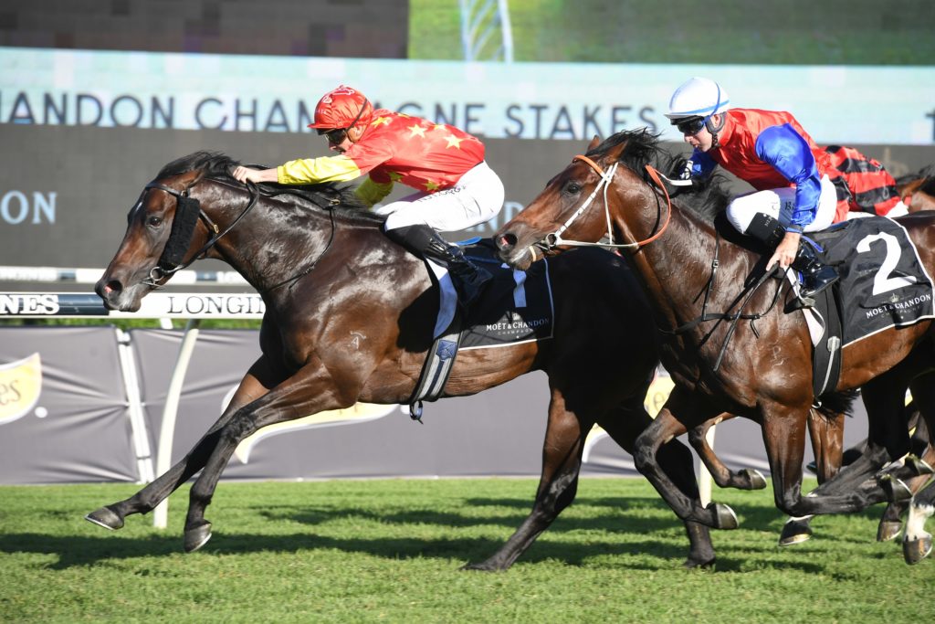 Captivant 240421 0434 | Just Horse Racing