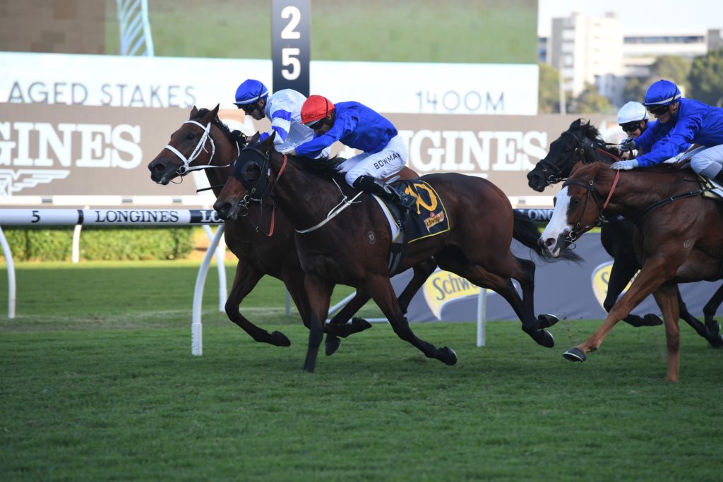 Kolding 240421 0633 | Just Horse Racing