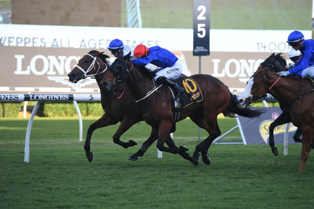 Kolding 240421 0634 | Just Horse Racing