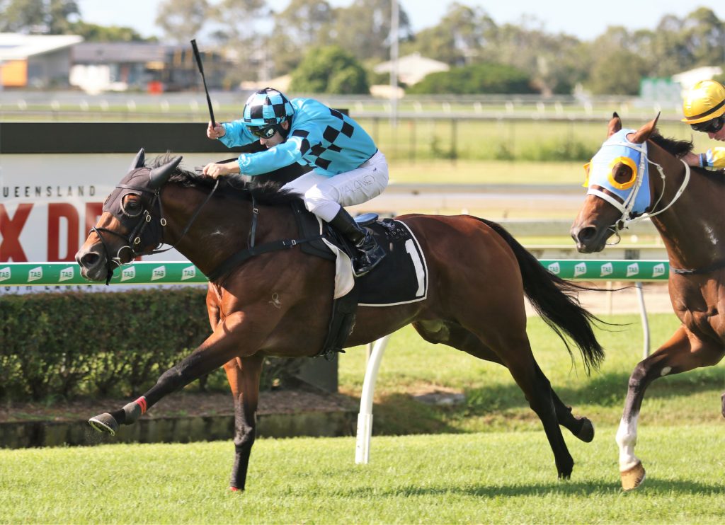Olmedo (3) | Just Horse Racing