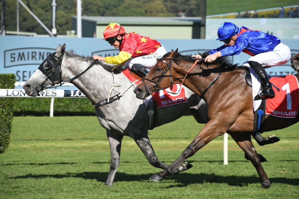Paths Of Glory 240421 0112 | Just Horse Racing