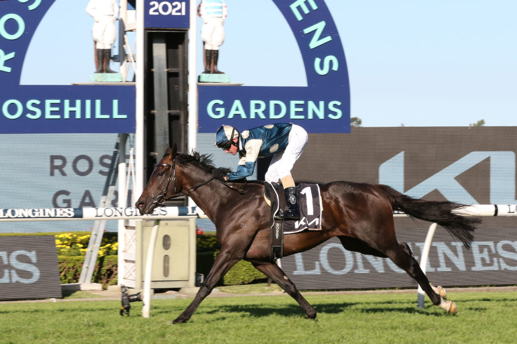 Sir Dragonet,Tancred Stakes,Group 1_03-04-2021_WIN_Rosehill_7__1520 | Just Horse Racing