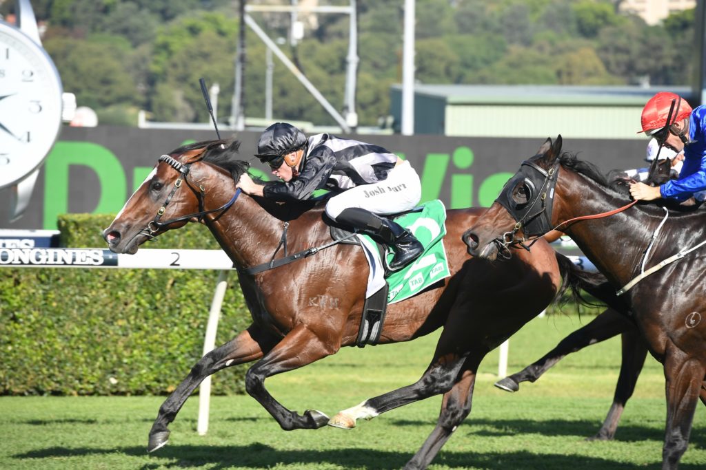 Splintex 240421 0250 | Just Horse Racing