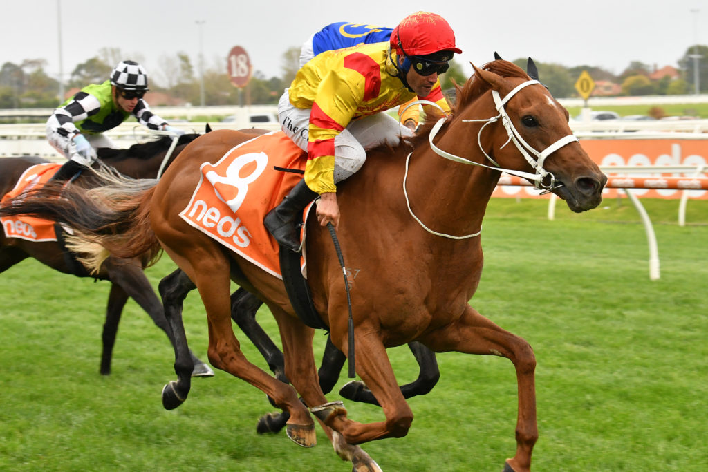 Mohican Heights | Just Horse Racing