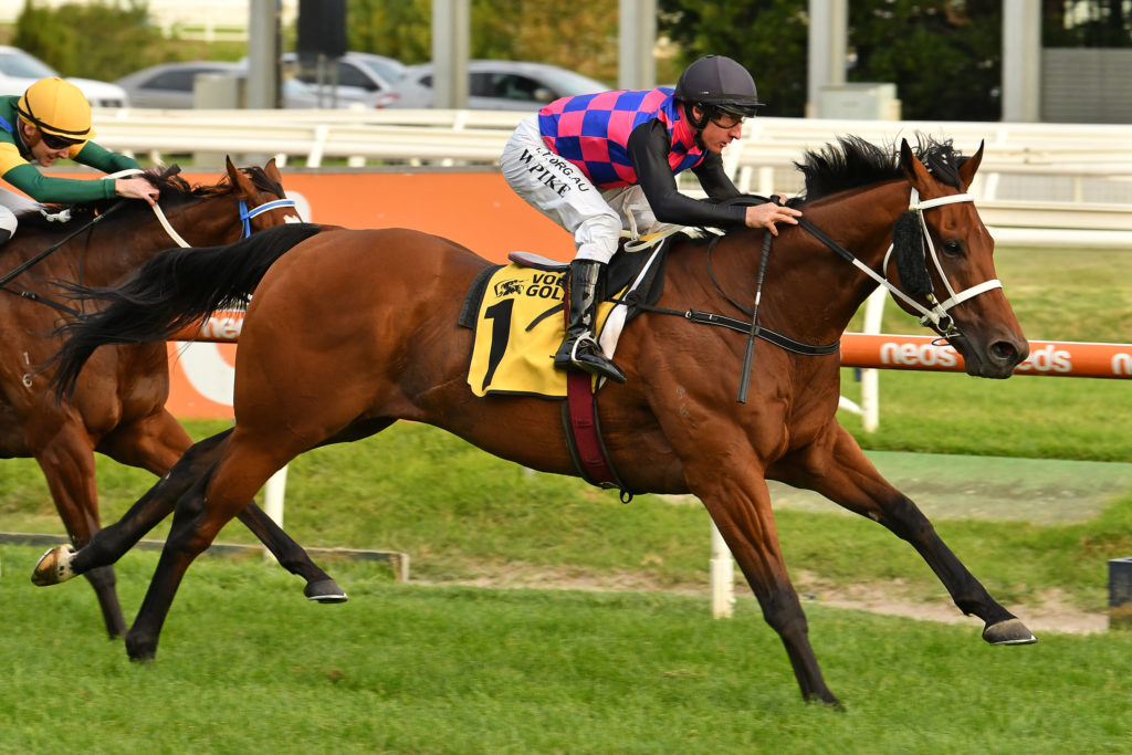 Laverrod | Just Horse Racing