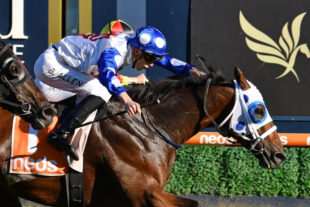 Mr Quickie | Just Horse Racing