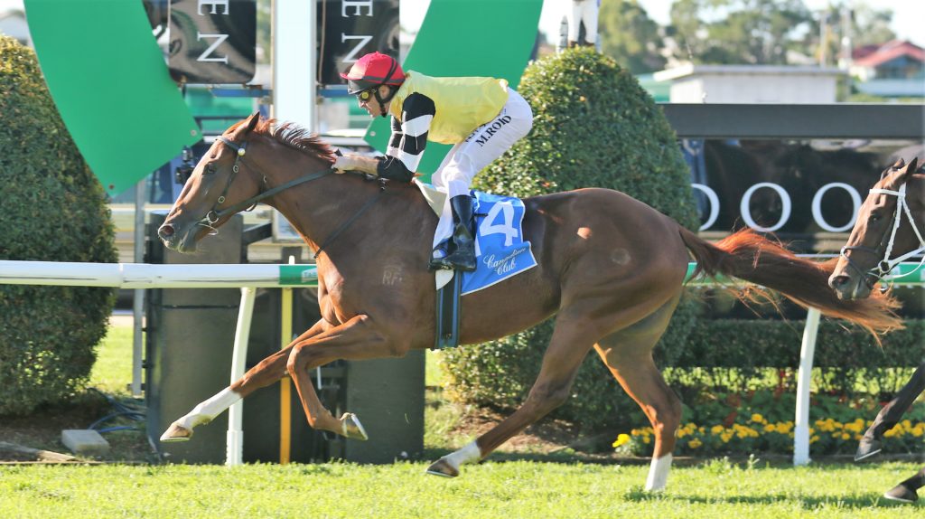 Criminal Defence (3) | Just Horse Racing