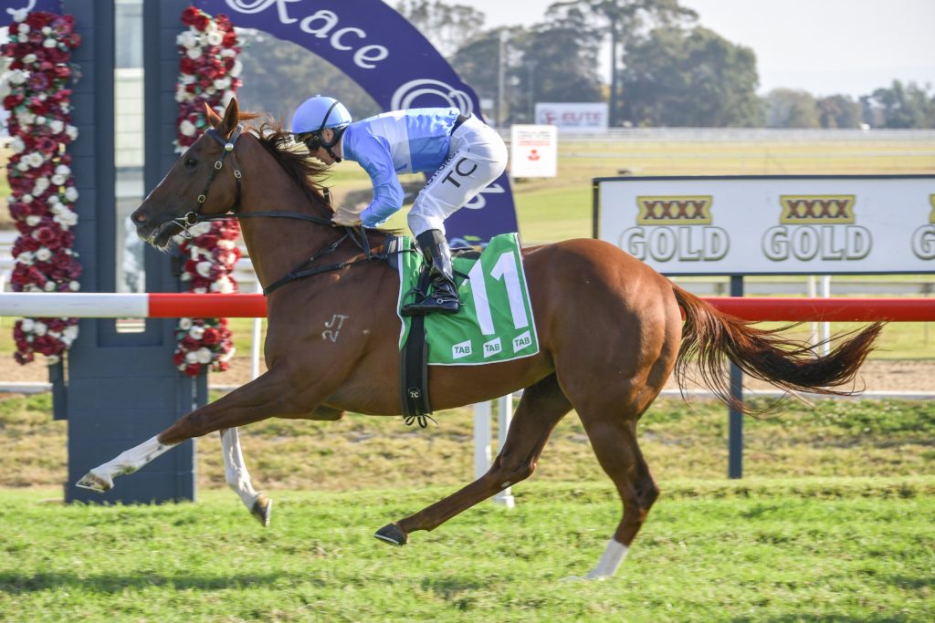 EMBRACER,Z_6_HAWK_01052021__B061_RAF2782 | Just Horse Racing