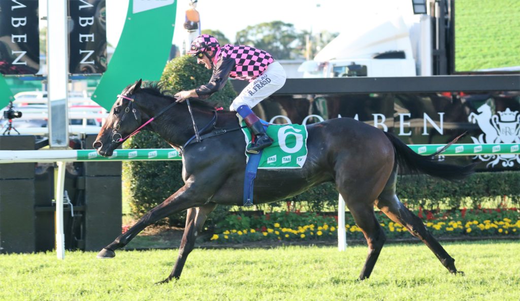 Emerald Kingdom (1) | Just Horse Racing