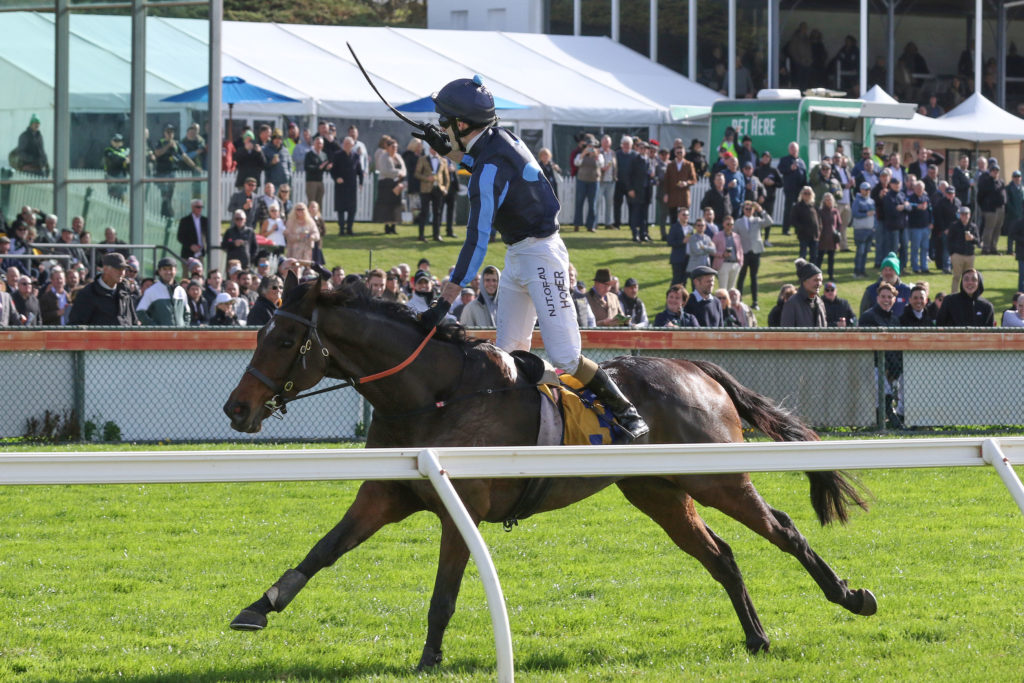 Flying Agent,Brierly Steeple_04-05-2021_WIN_Warrnambool_6__743 | Just Horse Racing