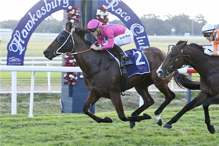 Hawkesbury Fight Off Floods For Successful Stand Alone Meet. | Just Horse Racing