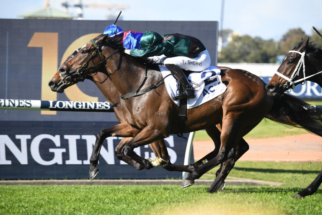 I Am Power 22052021 7635 | Just Horse Racing