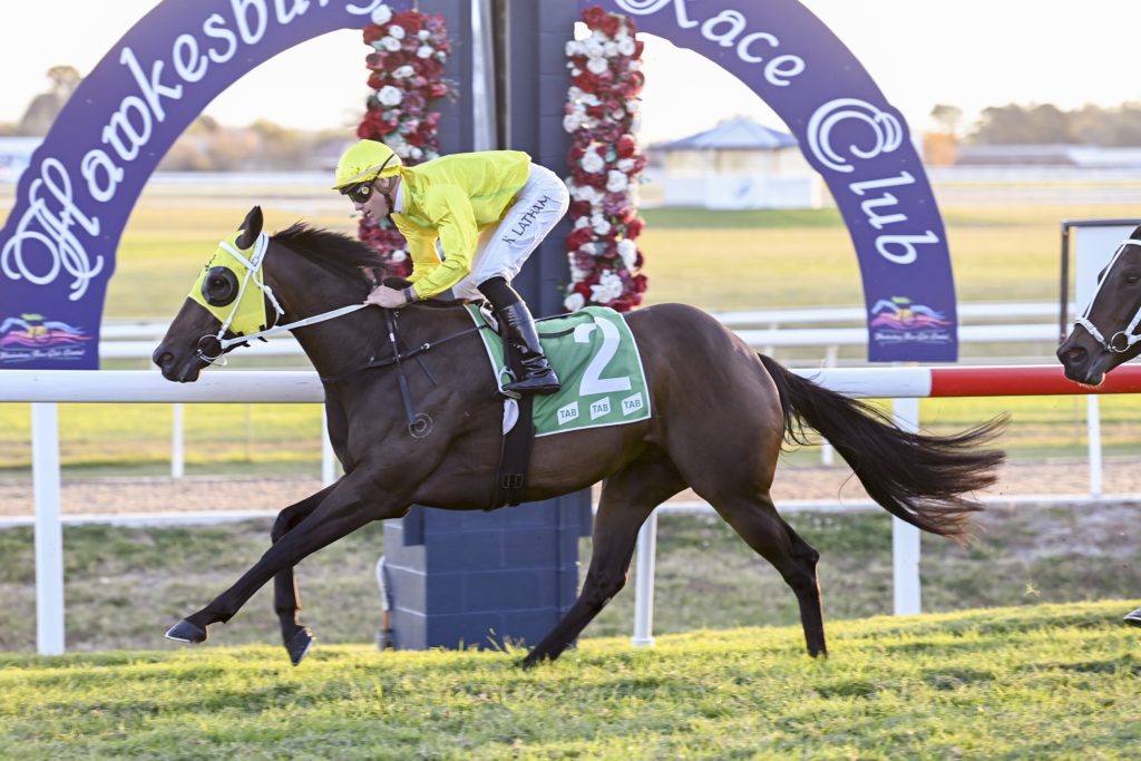 IMPASSE,Z_9_HAWK_01052021__C024DSC_2979 | Just Horse Racing
