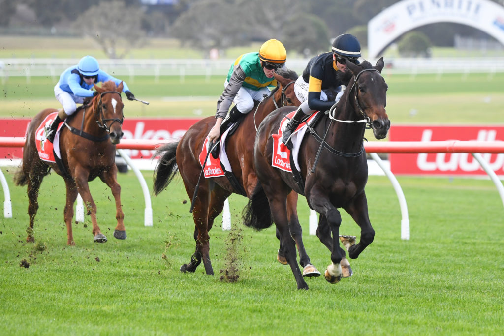 /r5/ | Just Horse Racing