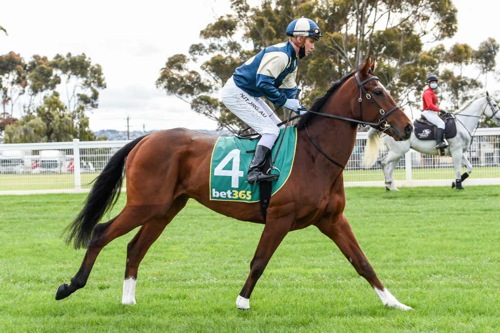 /r7/ | Just Horse Racing