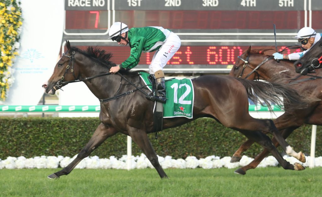 Marboosha (4) | Just Horse Racing